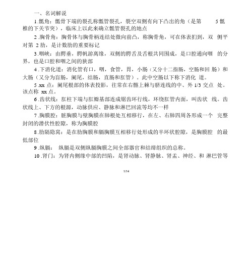 人体解剖学总结复习重点