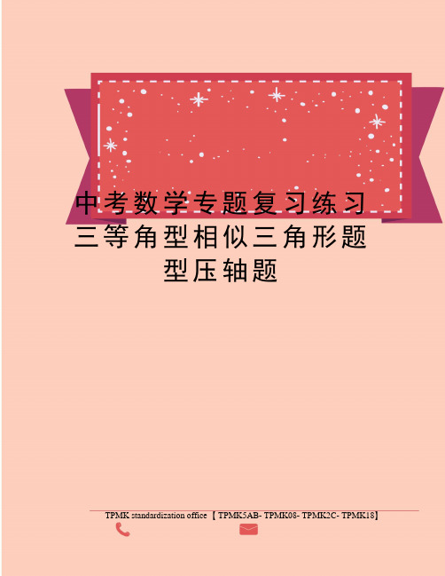 中考数学专题复习练习三等角型相似三角形题型压轴题