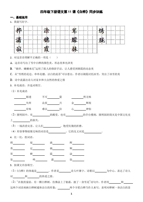 四年级下册语文第11课《白桦》同步训练(含答案)
