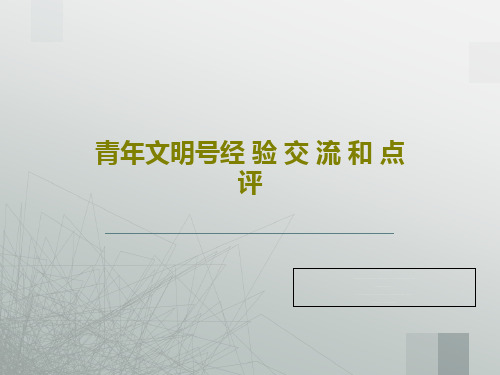 青年文明号经 验 交 流 和 点 评共22页