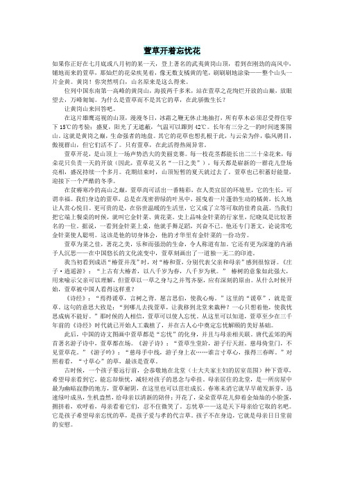 高中语文情感美文萱草开着忘忧花