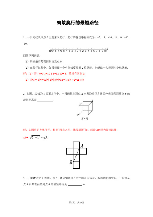 专题训练-蚂蚁爬行的最短路径(含答案)