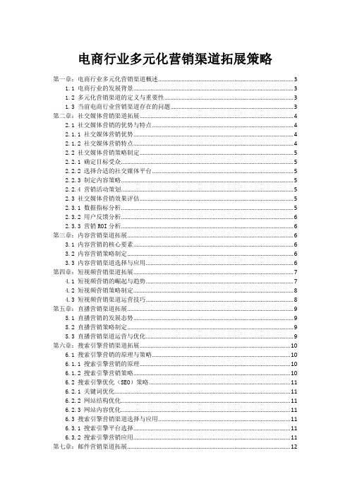 电商行业多元化营销渠道拓展策略