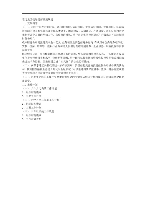 宏达集团投融资部发展规划