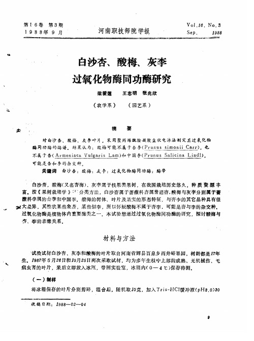 白沙杏、酸梅、灰李过氧化物酶同功酶研究