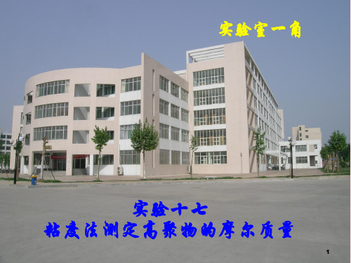 粘度的测定和应用乌氏粘度计法.ppt