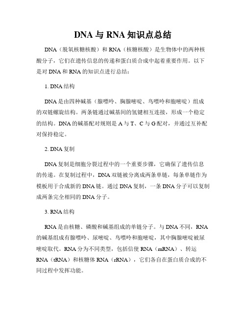 DNA与RNA知识点总结