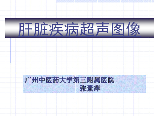 肝脏疾病超声图像