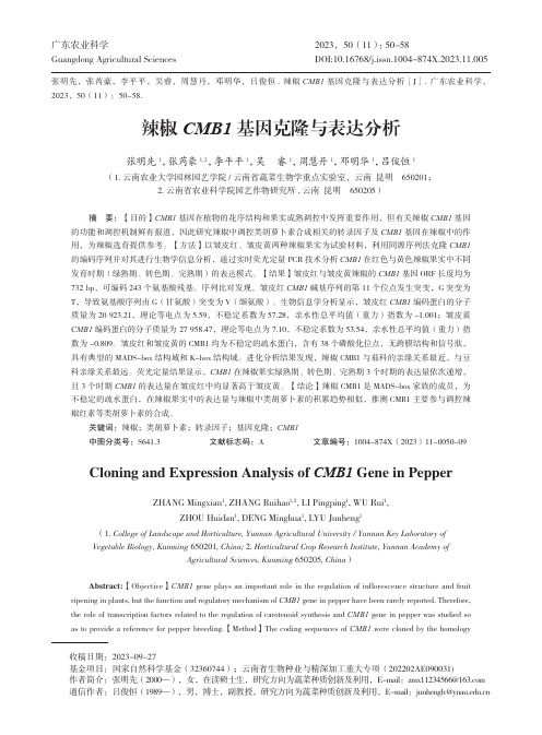 辣椒CMB1_基因克隆与表达分析