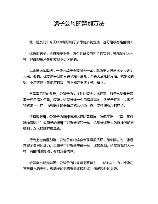 鸽子公母的辨别方法