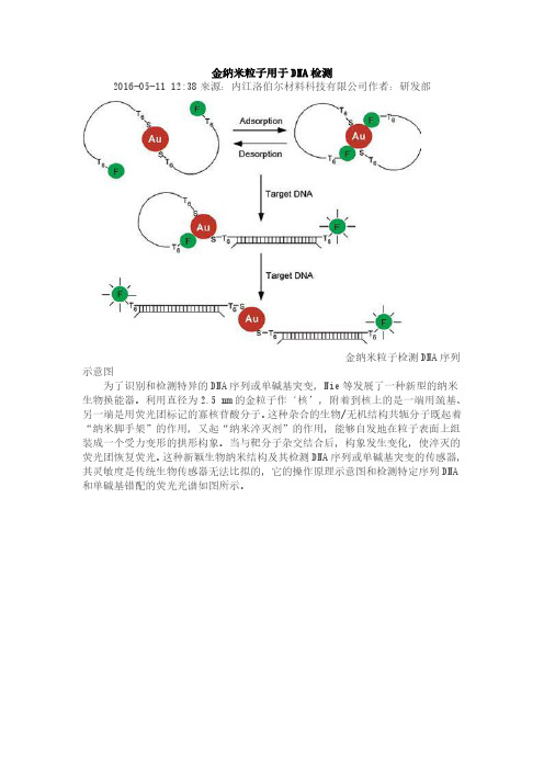 金纳米粒子用于DNA检测