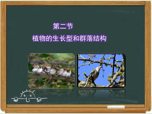 浙科版高中生物必修三《植物的生长型和群落结构》教学课件-新版