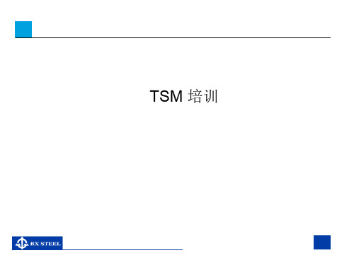 TSM培训