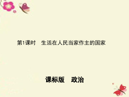 (新课标)高考政治一轮复习 第一单元 公民的政治生活(第1课时)生活在人民当家作主的国家课件(必修2