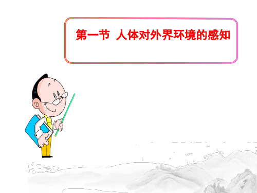 (名师整理)最新生物七年级下册第4单元第6章第1节《人体对外界环境的感知》精品课件