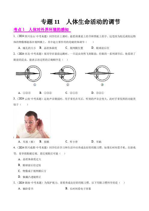 专题11  人体生命活动的调节(原卷版+答案解析版)