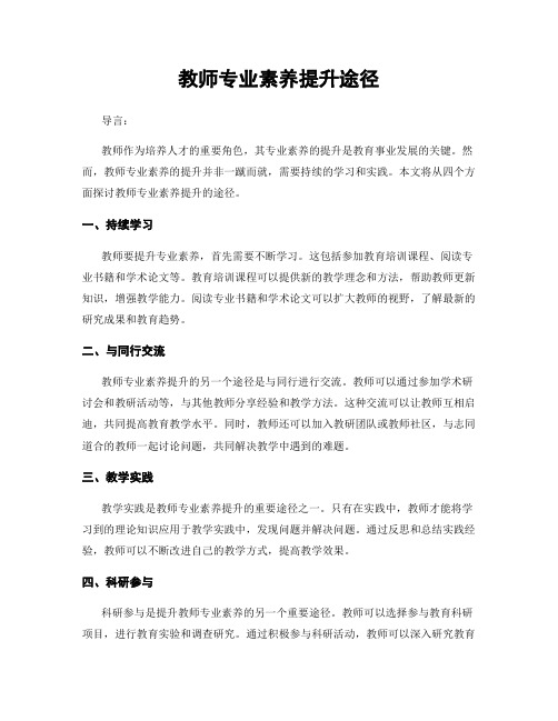 教师专业素养提升途径