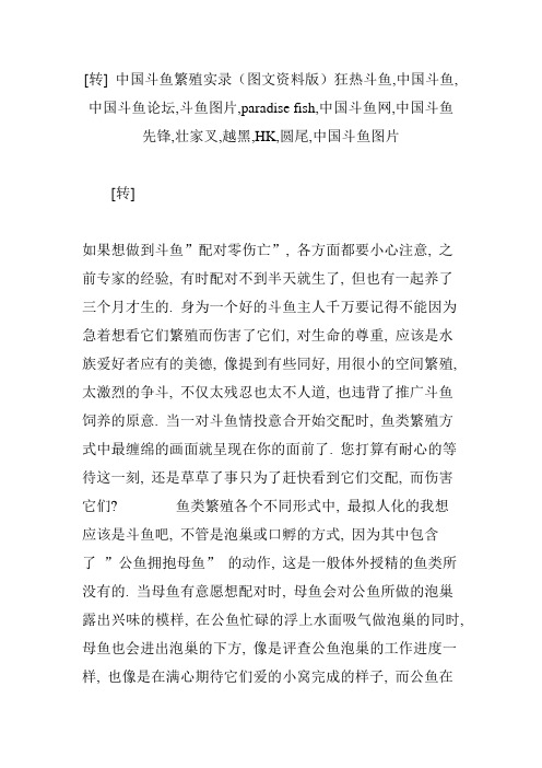 [转] 中国斗鱼繁殖实录(图文资料版)狂热斗鱼,中国斗鱼,中国斗鱼论坛,斗鱼图片,paradise fish,中国斗鱼网,