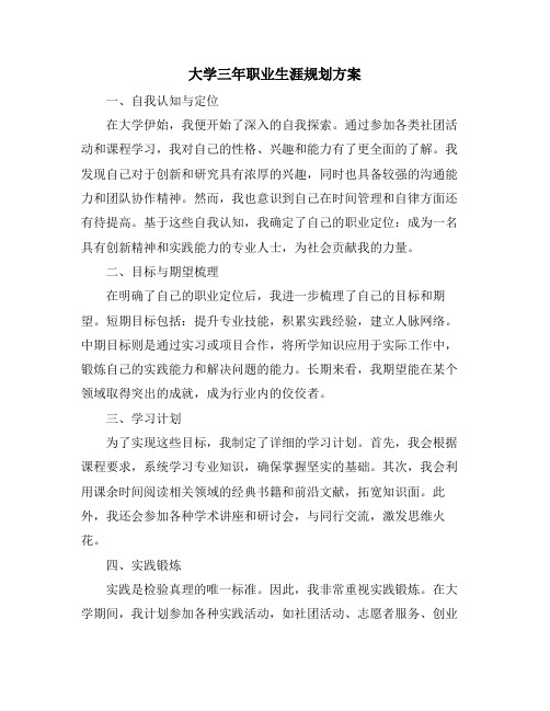 大学三年职业生涯规划方案