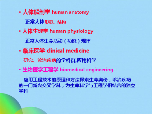 生理学与生物医学工程(共59张PPT)