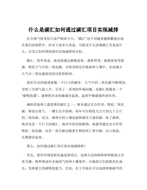 什么是碳汇如何通过碳汇项目实现减排