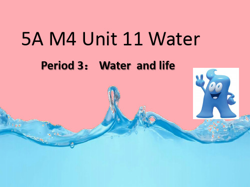 五年级英语上册 Unit 11 Water(第1课时)教案 牛津上海版