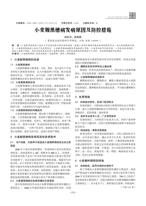 小麦腥黑穗病发病原因及防控措施