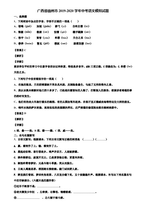 广西省梧州市2019-2020学年中考语文模拟试题含解析