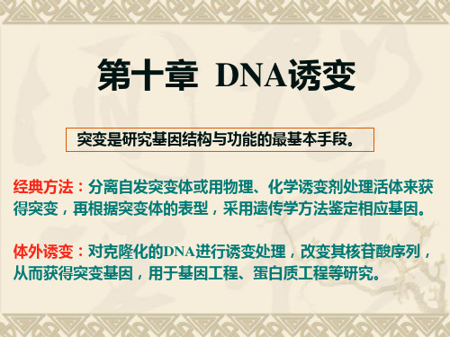 基因工程8-DNA诱变(完整)