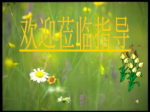 苏教版八年级上册语文:十三 父母的心