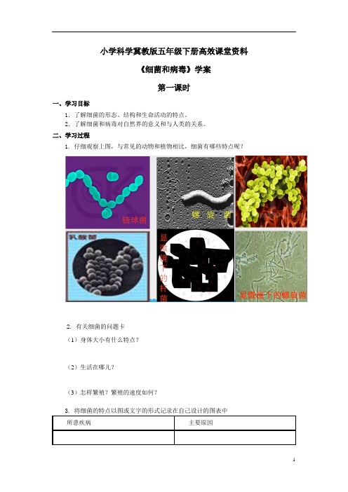 小学科学冀教版六年级上册高效课堂资料《细菌和病毒》学案——第1课时