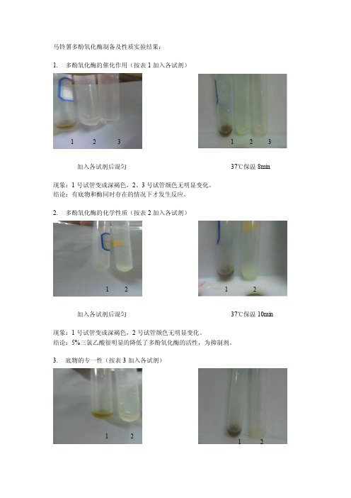 马铃薯多酚氧化酶制备及性质试验[精要]