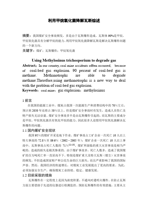 1甲烷氧化菌处理瓦斯爆炸综述