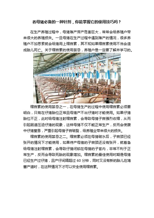 养母猪必备的一种针剂，你能掌握它的使用技巧吗？