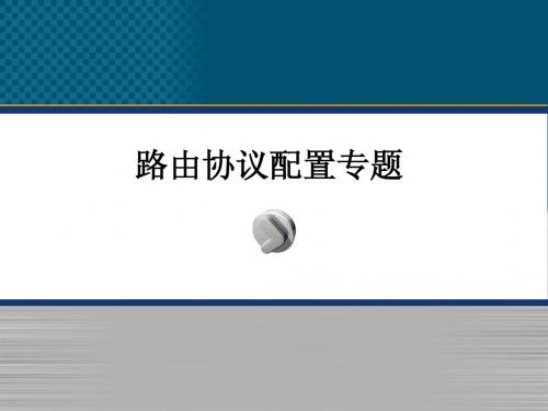 路由协议实验专题