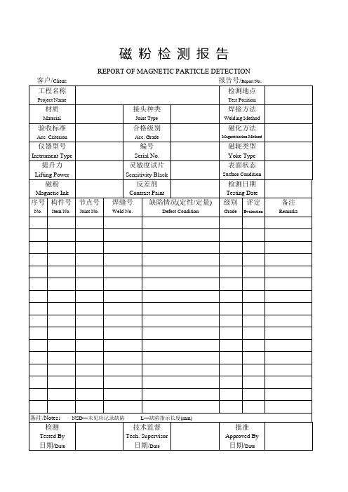 各种无损检测中英文报告格式