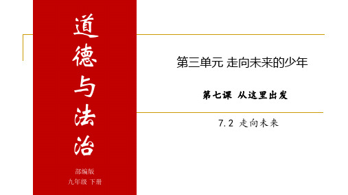 人教部编版九年级下册道德与法治7.2 走向未来 课件