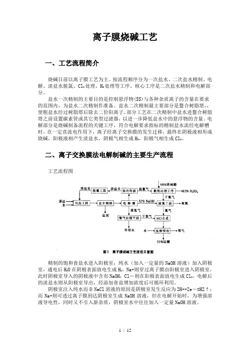 离子膜烧碱工艺要点