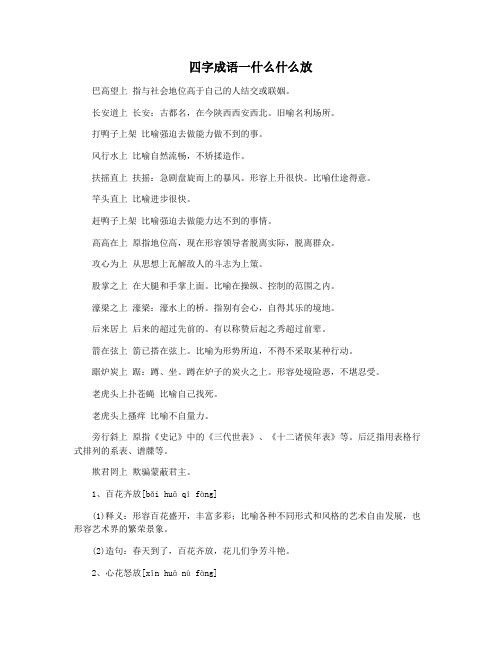 四字成语一什么什么放