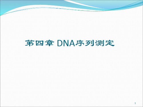 第四章 DNA序列测定