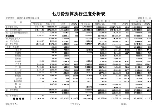 预算执行进度分析表