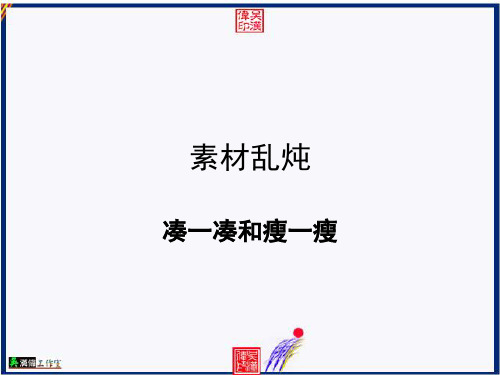 原创高考语文复习备考精品课件 素材“乱炖”凑一凑和瘦一瘦