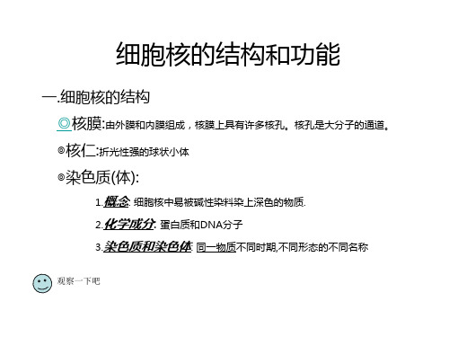 高三生物细胞核的结构和功能(2019年8月整理)