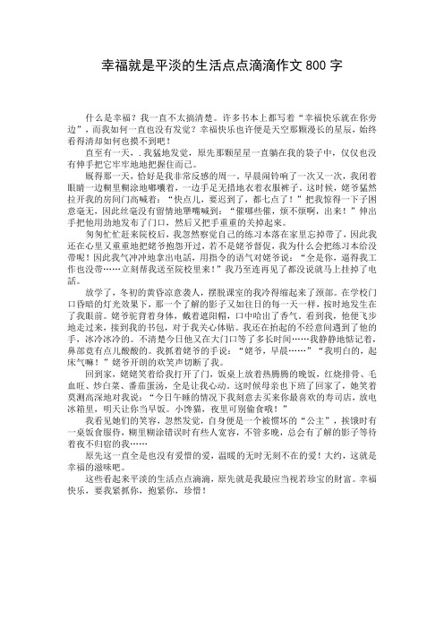 幸福就是平淡的生活点点滴滴作文800字