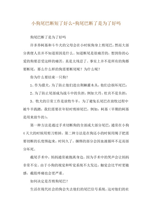 小狗尾巴断短了好么-狗尾巴断了是为了好吗