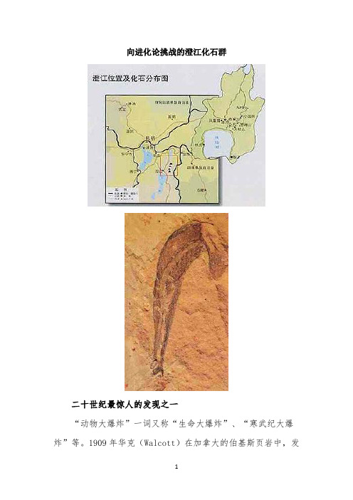 拓展视野：向进化论挑战的澄江化石群