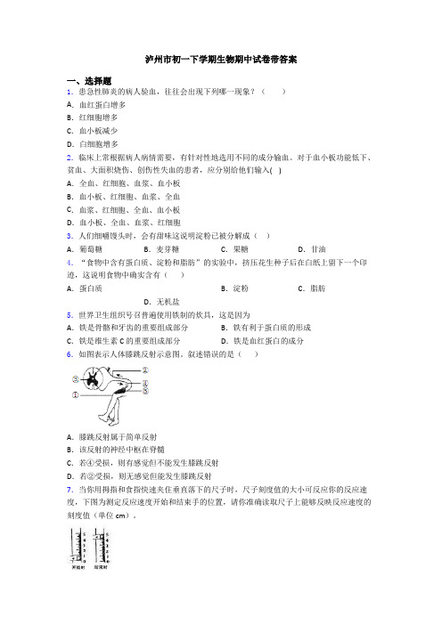 泸州市初一下学期生物期中试卷带答案