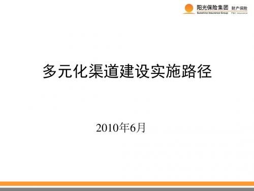 多元化渠道建设实施路径(ppt46张)