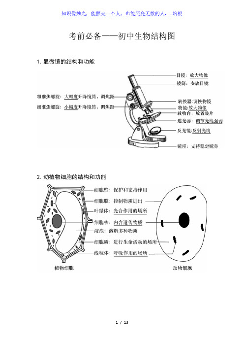 中考必备——初中生物结构图表汇总