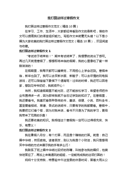 我打算这样过寒假作文